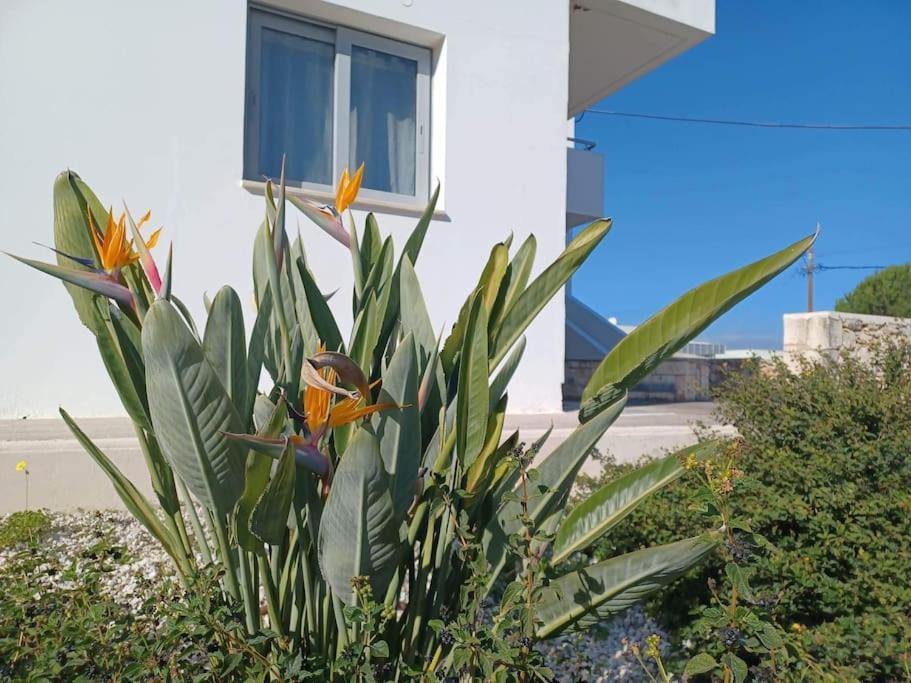 Mini Villa Καλαθάς Εξωτερικό φωτογραφία