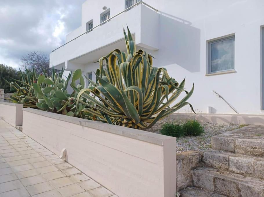 Mini Villa Καλαθάς Εξωτερικό φωτογραφία